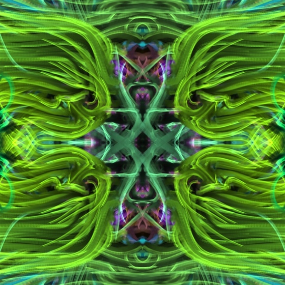 dleec19